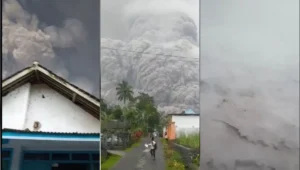 Gunung Semeru Meletus, Warga Lumajang Mengungsi